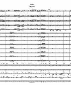 PREVIEW Partitura de Cenizas - Bolero para Big Band - Score